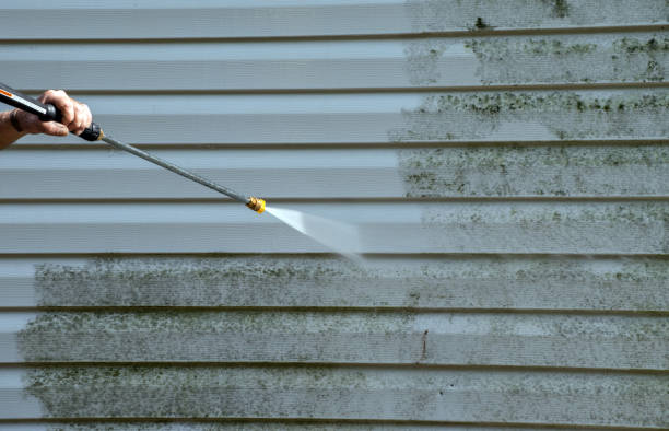 Best Deck Pressure Washing  in Sauk Vlage, IL